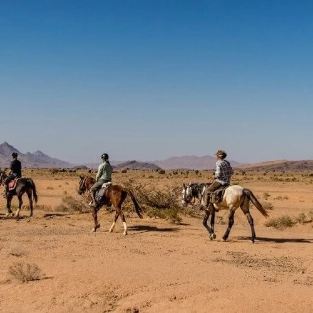 deportes más practicados en Marruecos,Deportes famosos en Marruecos,Deportes populares en Marruecos,Marruecos Deportes,Deportes de tierra en Marruecos,Deportes en Marruecos,senderismo en Marruecos,excursionismo en Marruecos,equitación en Marruecos,ciclismo de montaña,escalada en roca,paracaidismo en Marruecos,paracaidismo,Entradas para el Mundial de Marruecos,Entradas para el Mundial de Marruecos 2022,ser marruecos,Bein Sport en directo en Marruecos,Terrenos de Marruecos,Golf,Senderismo en el Toubkal,montar a caballo en Marruecos,deportes practicados en Marruecos,Deportes famosos practicados en Marruecos,karate Marruecos,Atletas de Marruecos,Marruecos Desert Trips,viaje en familia i Marruecos,viaje familiar i Marruecos,Marruecos en pareja,Viaje a Marruecos en pareja,Marruecos por parejas,Marruecos Viajes en grupo,Viajes en grupo a Marruecos,Viajes en grupo por Marruecos,Marruecos en grupo,Viajes a Marruecos,Circuitos por Marruecos,Auténticos circuitos por Marruecos,Auténticos viajes por Marruecos,Auténticos viajes a Marruecos,Circuitos en Marruecos,Viajes por Marruecos,Circuitos por todo Marruecos,Viajes a todo Marruecos,días en Marruecos,Circuitos por Fez,Viajes a Fez,Circuitos por Marrakech,Viajes a Tánger,Circuitos por Casablanca,Visitas a Casablanca,excursiones por el desierto,viajes al desierto,Mundial de Marruecos,Copa del Mundo de Marruecos,Marruecos copa del mundo,circuitos por las ciudades imperiales,Visitas auténticas,viajes nómadas,excursiones nómadas,viajes de larga duración,circuitos de larga duración,Viajes en familia por Marruecos,Viajes familiares en Marruecos,Viajes en familia en Marruecos,circuitos en pareja por Marruecos - Tours in All Morocco horse riding in morocco - sports in Morocco - tours in all morocco