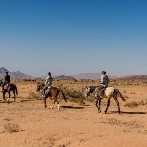 Sports in Morocco,Famous Sports in Morocco,Popular sports in Morocco,Morocco Sports,Land sports in Morocco,trekking in Morocco,horseback riding in Morocco,mountain biking in Morocco,rock climbing,skydiving,morocco world cup tickets,morocco world cup 2022 tickets,bein morocco,bein sport live morocco,bein sport morocco,bein sport morocco live,hiking in Morocco,Morocco terrains,Golf,hiking toubkal,horseriding Morocco,practiced sports in Morocco,famous practiced Sports in Morocco,karate Morocco,Morocco Athletes,Morocco Desert Trips,trips in morocco,Morocco tours,Fes tours in Morocco,sports activities in Morocco,Rock climbing in Morocco,sports you can do in Morocco,Mountain biking,Horseback Riding,Hiking,hiking in the High Atlas,Trekking in winter,Climbing,activities in Morocco,paragliding,popular sports,land sports,water sports,jet skiing,paddleboarding,kitesurfing,surfing,water activities,water sports in Morocco,Soccer,Morocco World Cup,World Cup Morocco,Morocco World Cup 2030,Morocco's most popular sport,football,traditional sports,traditional horseback riding,traditional activities,wrestling,stick fighting,well-known athletes,major sports events,sports events,sports activities - Tours in All Morocco horse riding in morocco - sports in Morocco - tours in all morocco