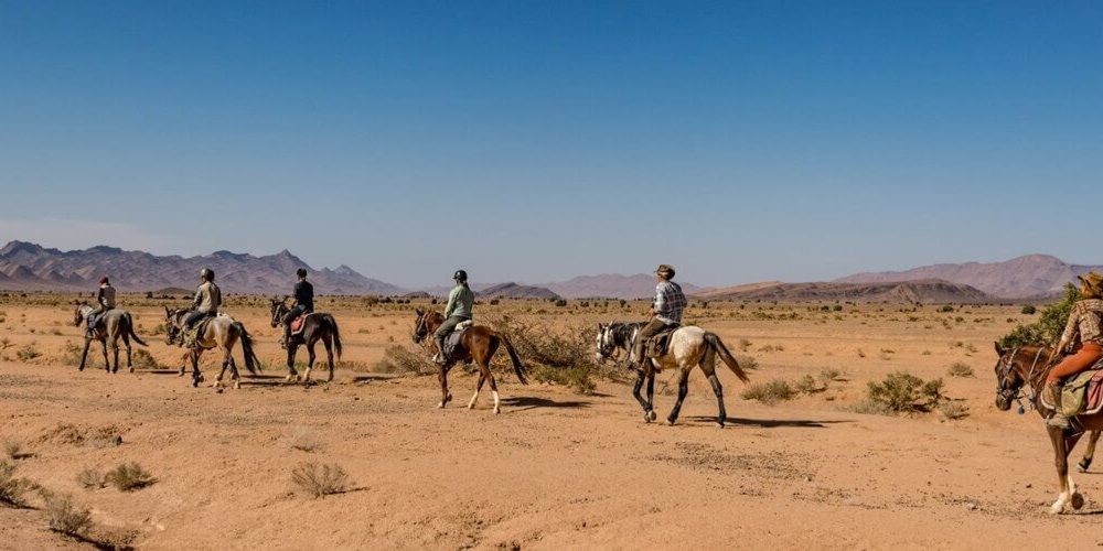 horse riding in morocco - sports in Morocco - tours in all morocco